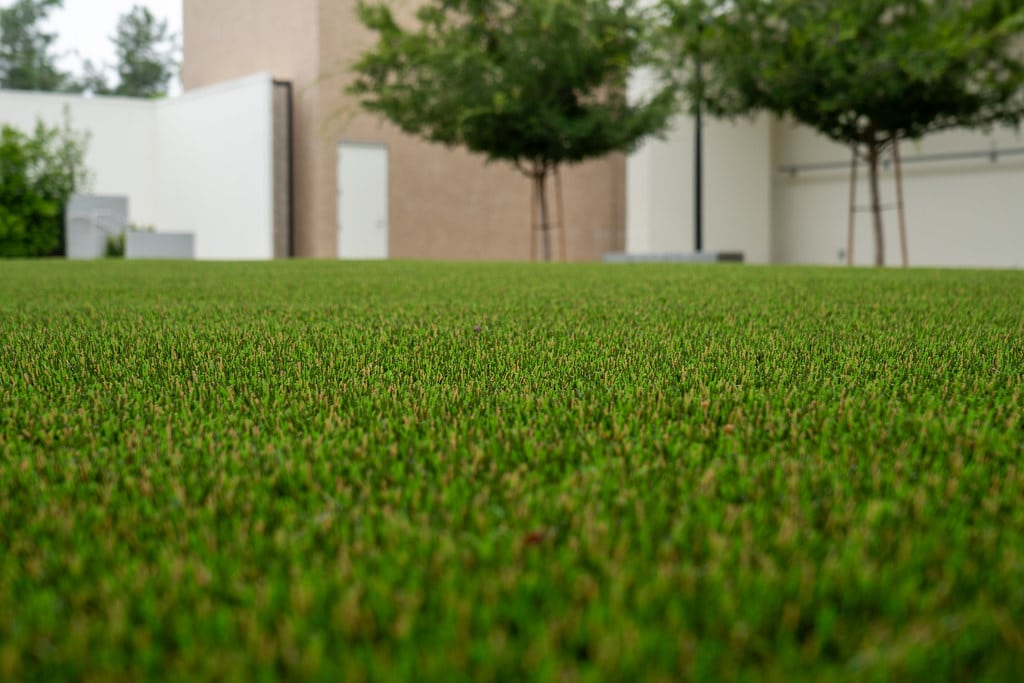 FL NWA synthetic grass