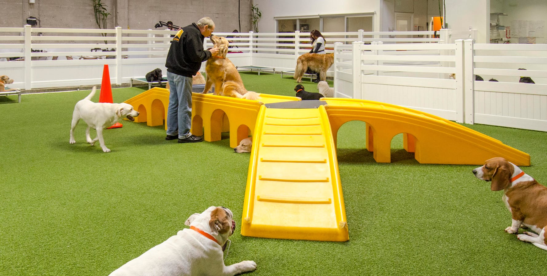 LA Dogworks in Los Angeles, CA implemented the patented K9Grass Flushing System in their 10,000 square foot state-of-the-art facility for dogs.