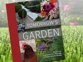 Read about ForeverLawn and other sustainable gardening tips on Tomorrow's Garden