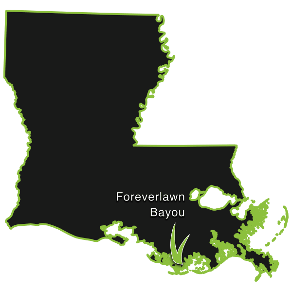 ForeverLawn Bayou Map