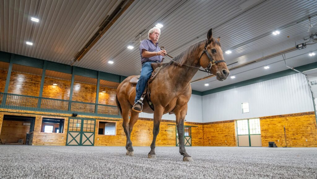 Man riding a horse on artificial grass